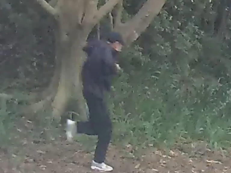 Pic released as group 'threatened' by gunman