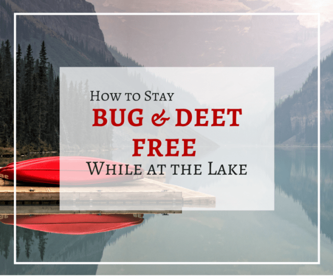 4 things you can do to keep bugs away while outdoors