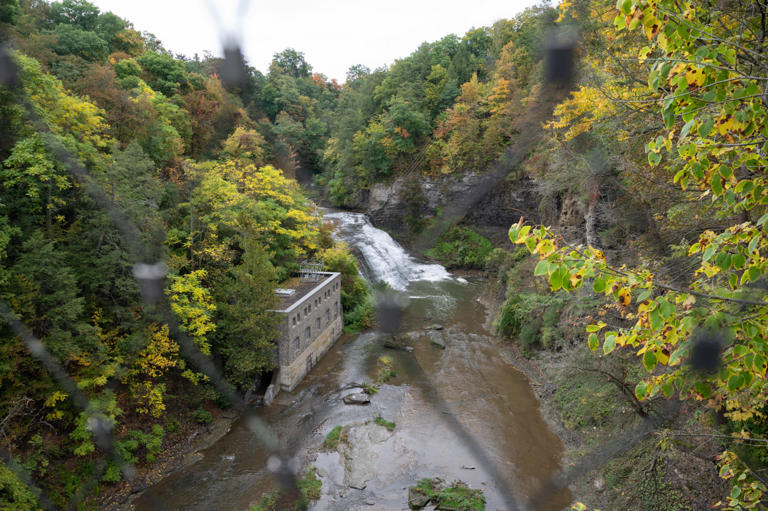 A long history of reining in fraternities at Cornell has come up short