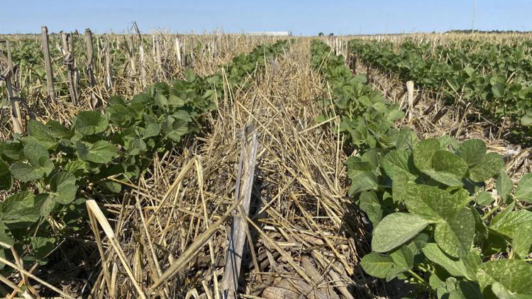 New Iowa map connects farmers, landowners with conservation experts