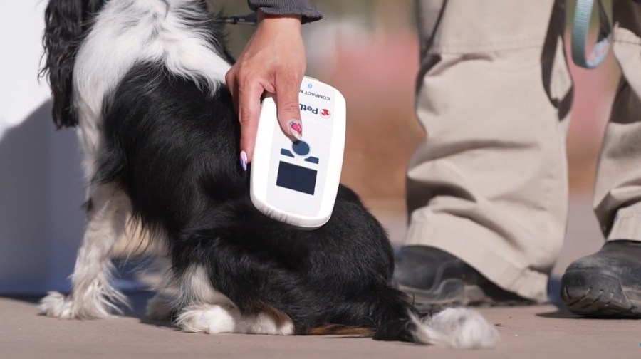 Clark County unveils new 24/7 microchip pet scanning stations