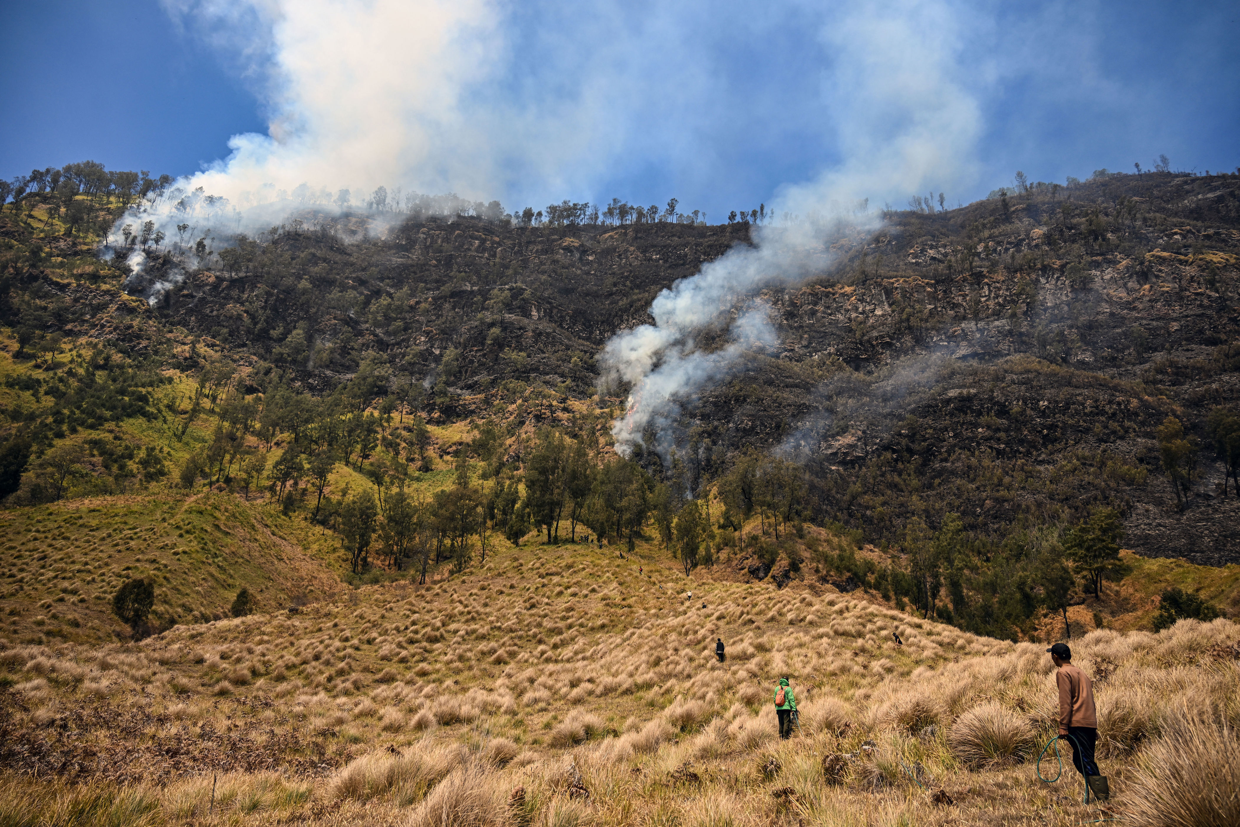 Four killed as Indonesia battles worst forest fires in more than a decade