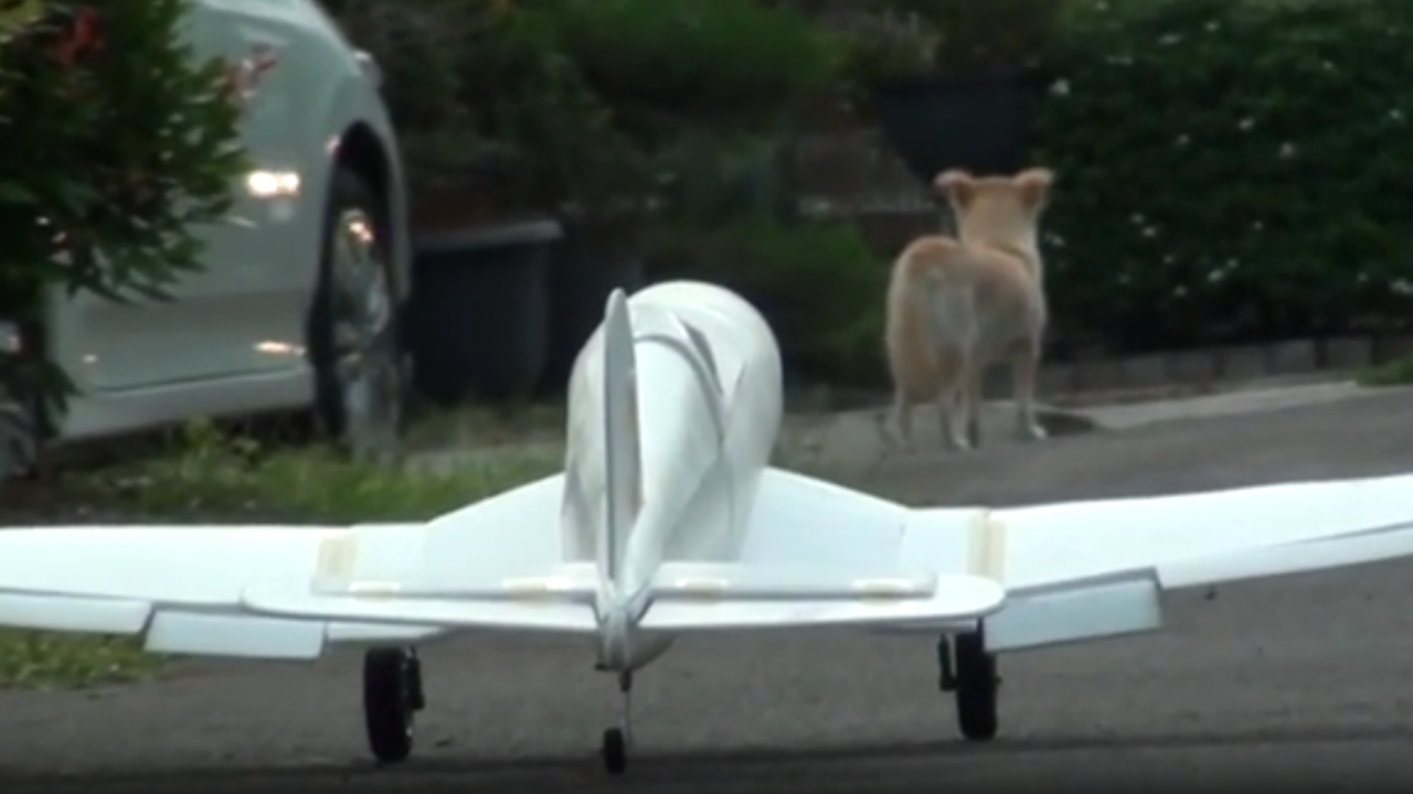 Ground testing a foam Corsair RC plane