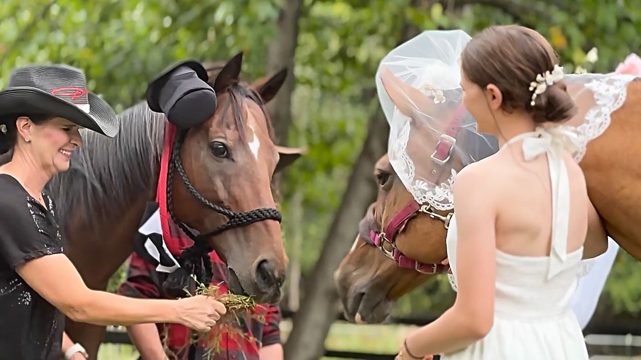 Former racehorse and mare tie the knot in wedding ceremony at Georgia farm