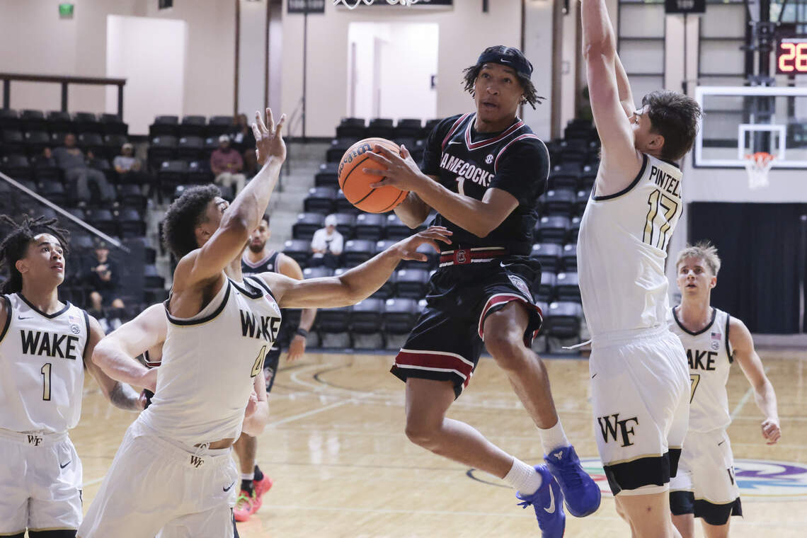 Photos: Gamecocks men's basketball vs Wake Forest in the Scout ...