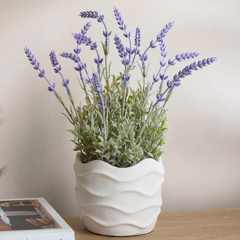 Bright morning spots will help you beat the winter blues – how to make ...