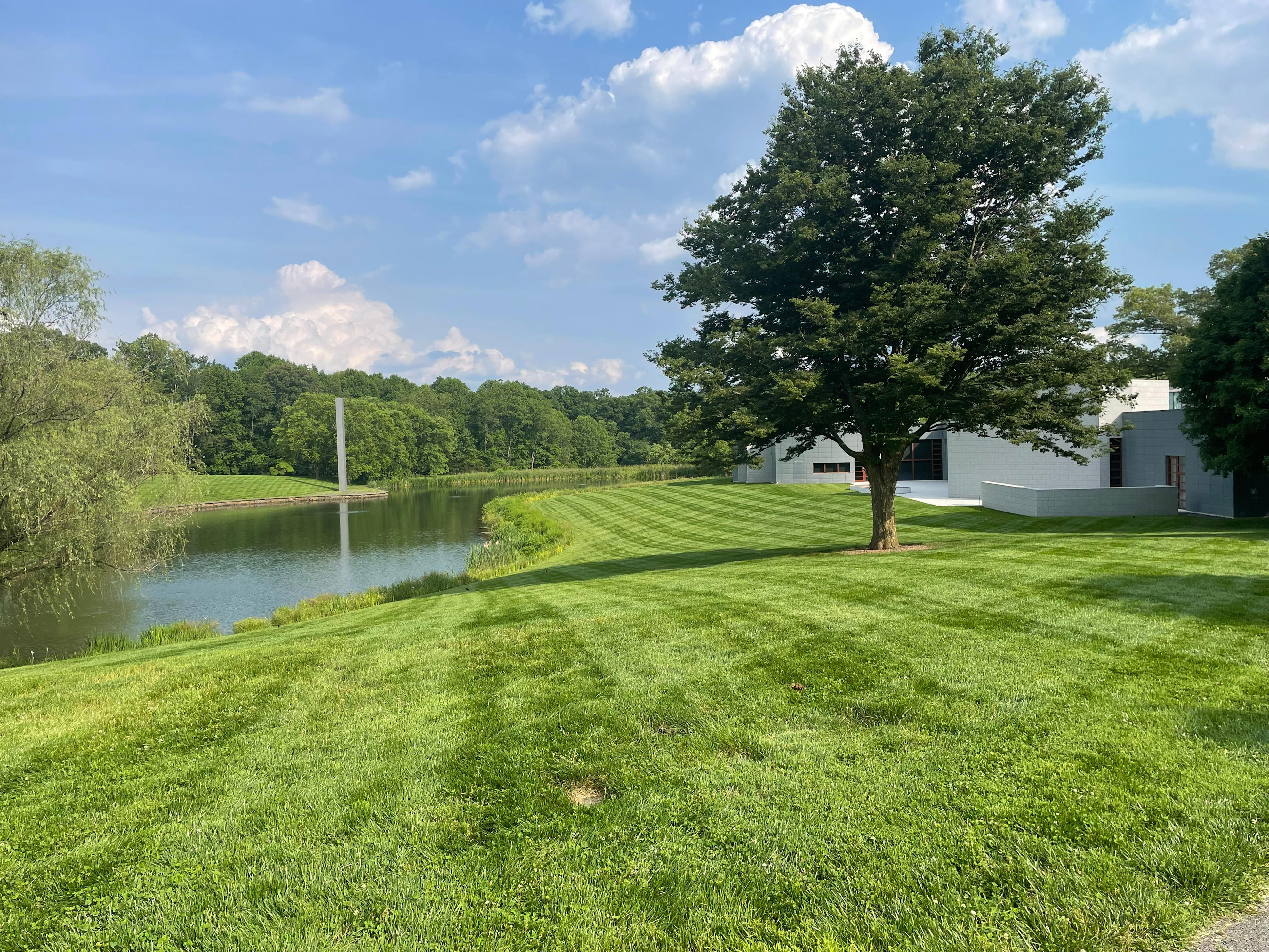 How to boost your lawn next spring with late season seeding