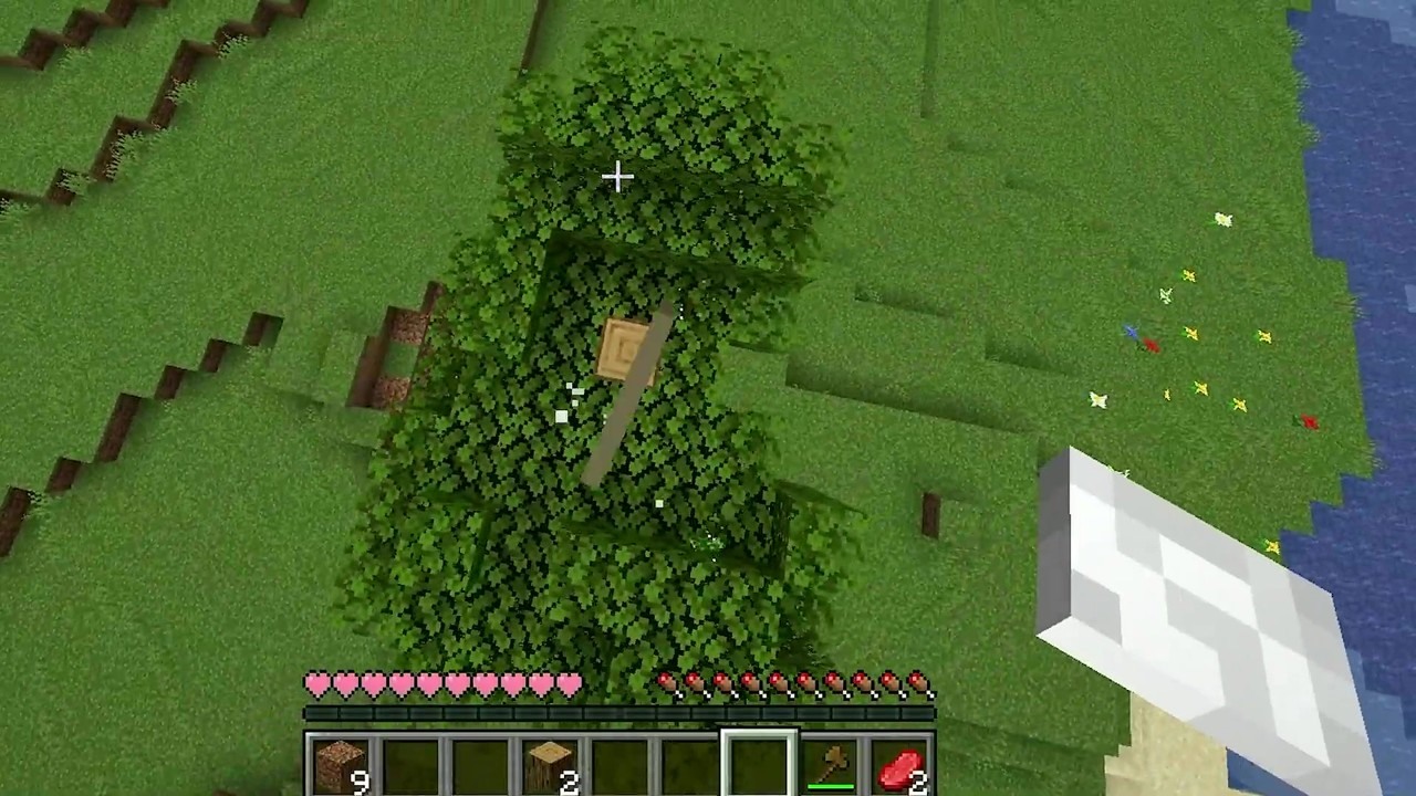 Minecraft players possess mobs to defeat the Ender Dragon