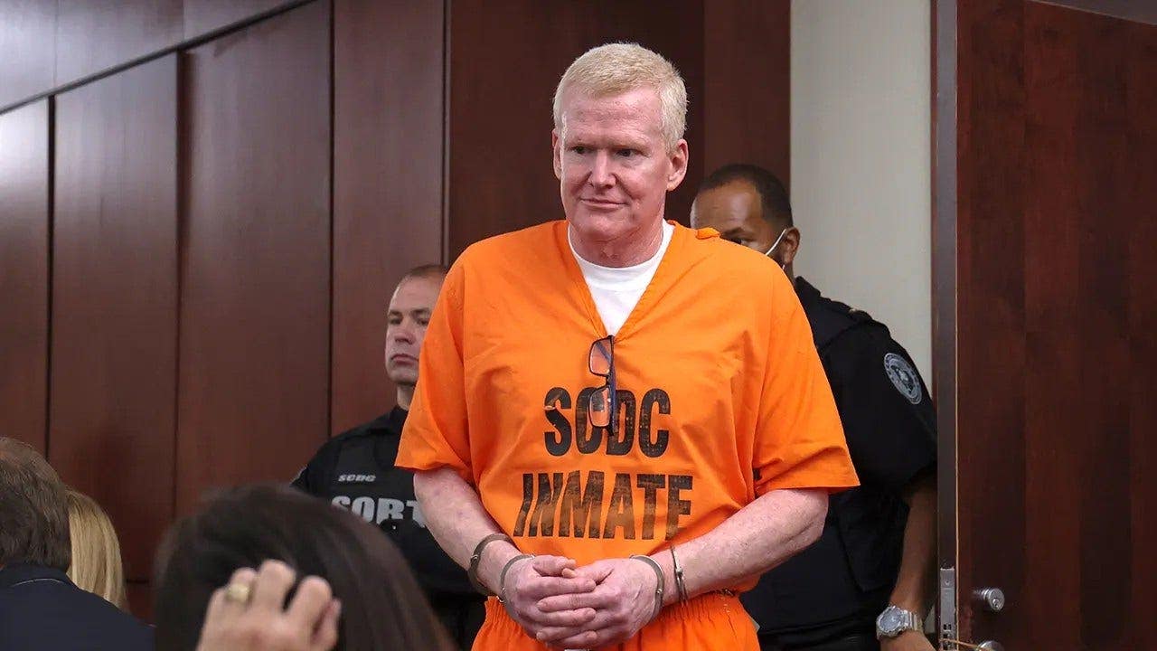 Alex Murdaugh's defense makes 'high risk' move to show DNA proves he ...