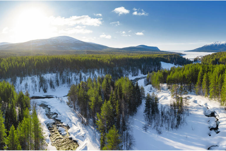 Here’s what a world without Arctic ice would actually look like