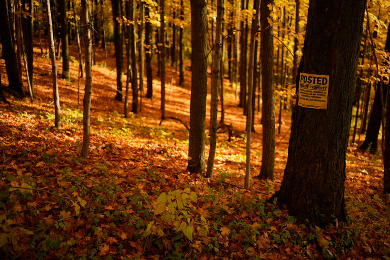 New England's having an elite year, but there's fall foliage elsewhere, too