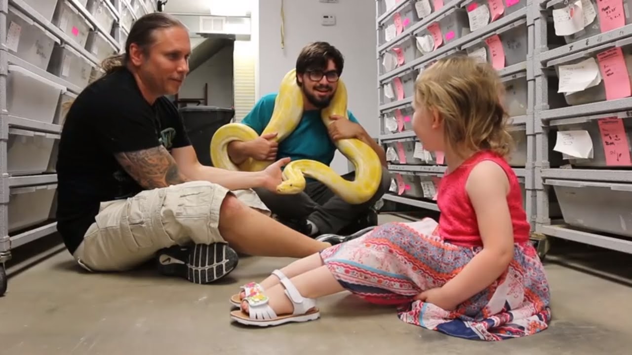 Little girl who loves snakes meets one of the biggest she's ever seen