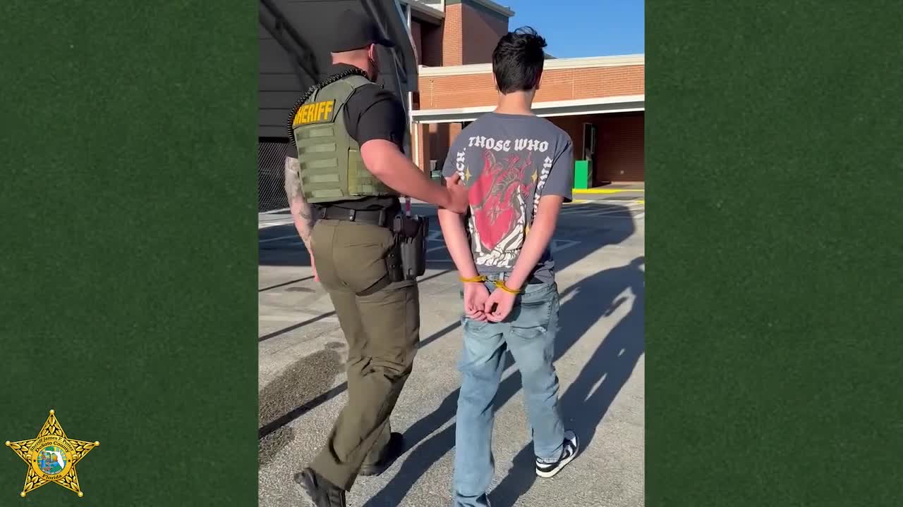 Swatting teen