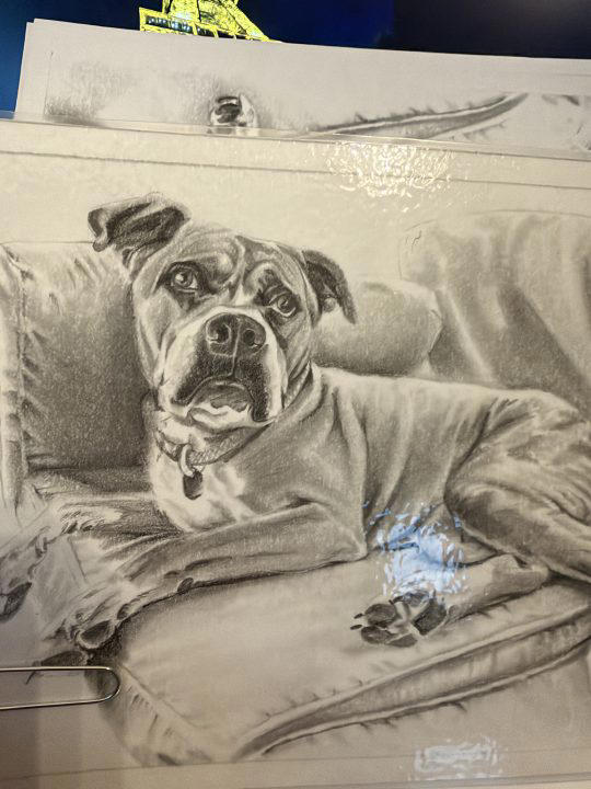 Incarcerated people draw adoptable dogs for Franklin County Dog Shelter ...
