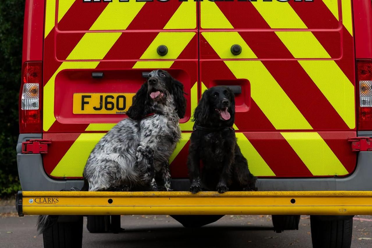 Leicestershire fire investigation dogs win special award at national ...