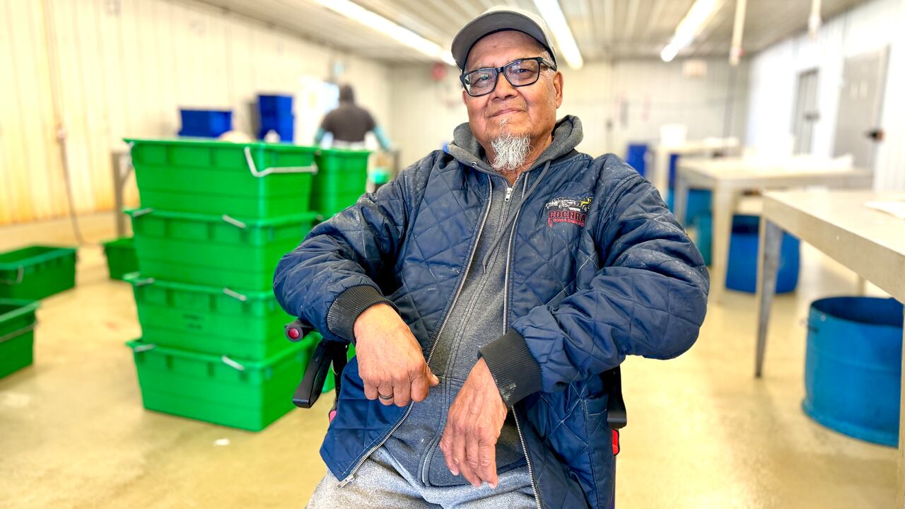 Lake Winnipeg pollution is ending a 'way of life,' say First Nation's ...