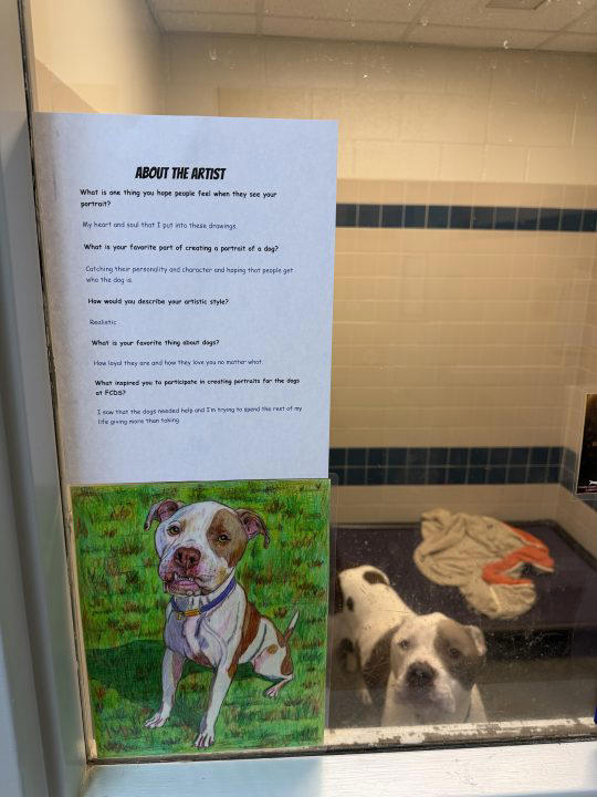Incarcerated people draw adoptable dogs for Franklin County Dog Shelter ...