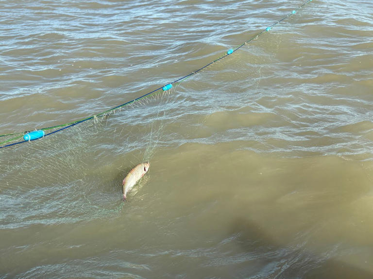 Lake Winnipeg pollution is ending a 'way of life,' say First Nation's ...