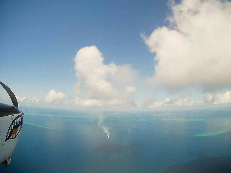 'It's extremely controversial': The bizarre, once-shunned idea that ...
