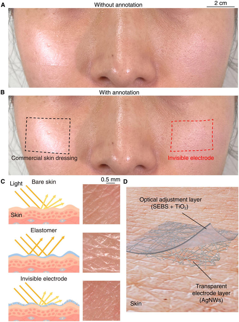 Invisible facial sensors could transform wearable health technology