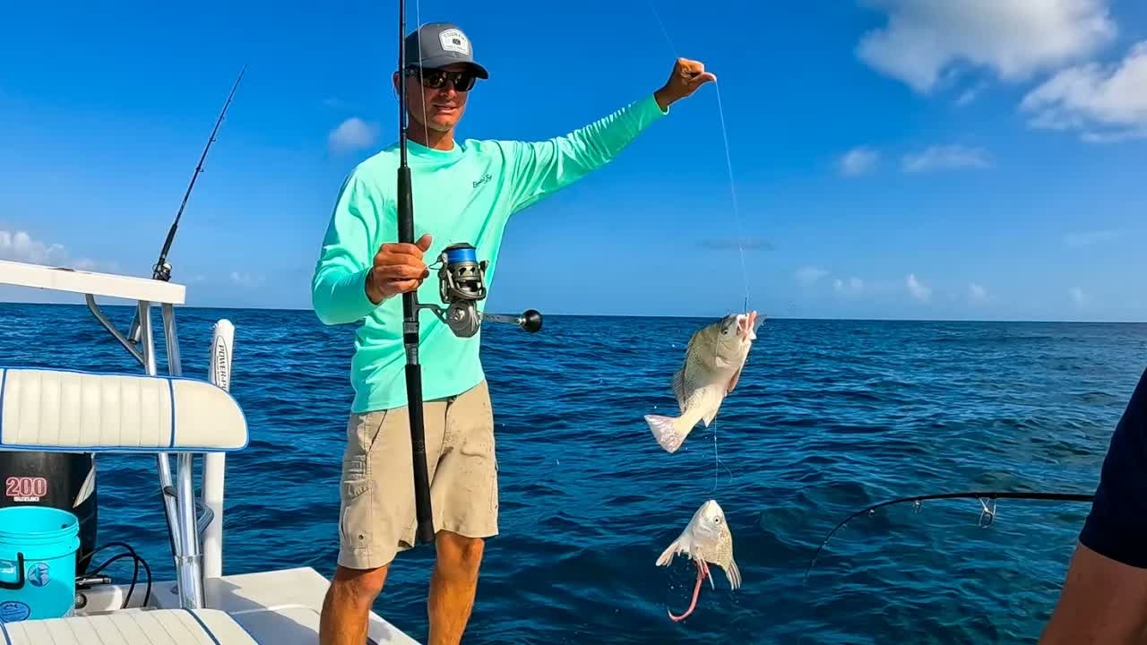 Anglers spot cobia alongside two manta rays on the ride home from drum ...