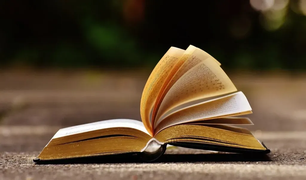 How authors get the blurbs printed on their book covers