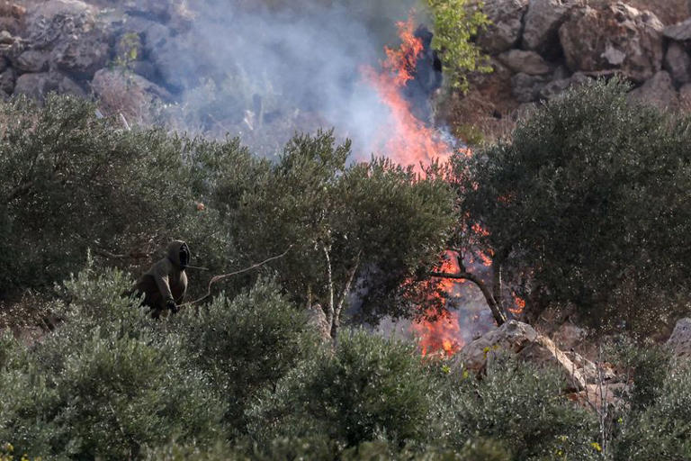 Israeli settlers burn olive trees, injure journalist in West Bank attack