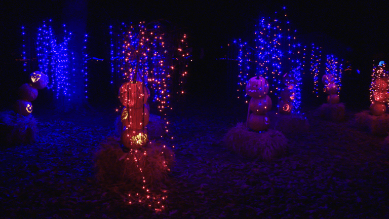 Electrifying Jack O’ Lantern experience lights Gilbert fairgrounds ...