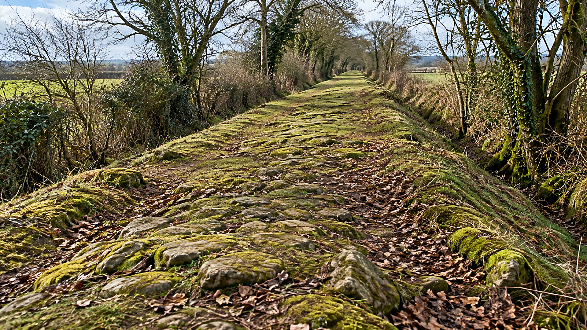How Roman roads in Britain were swallowed by hedgerows, and why ...