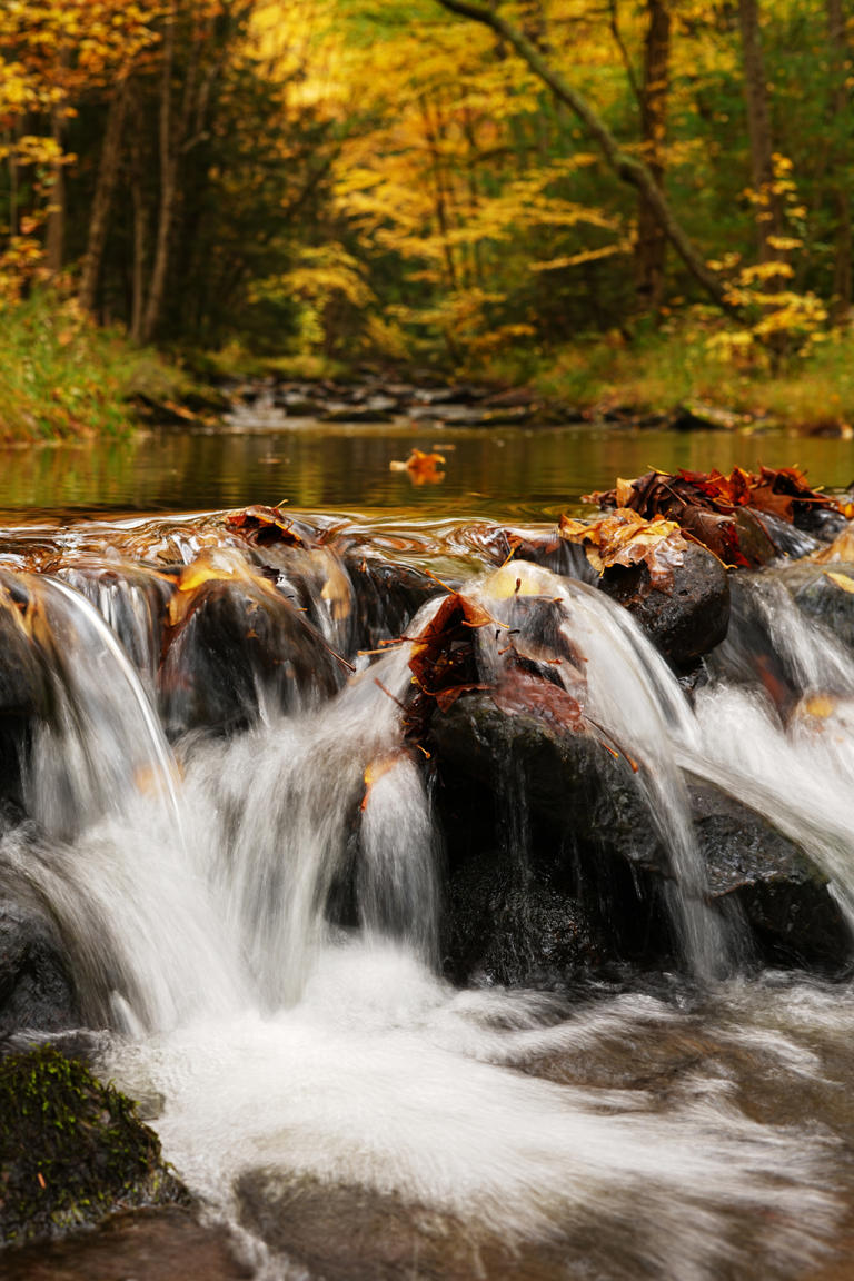 APTOPIX US Fall Foliage Pennsylvania