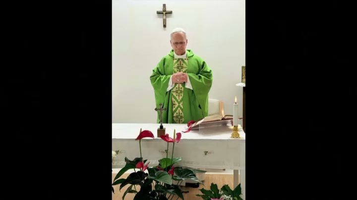 Vatican releases first photos of Pope Leo XIV after lung tumour surgery