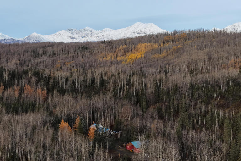 Fall Foliage Alaska