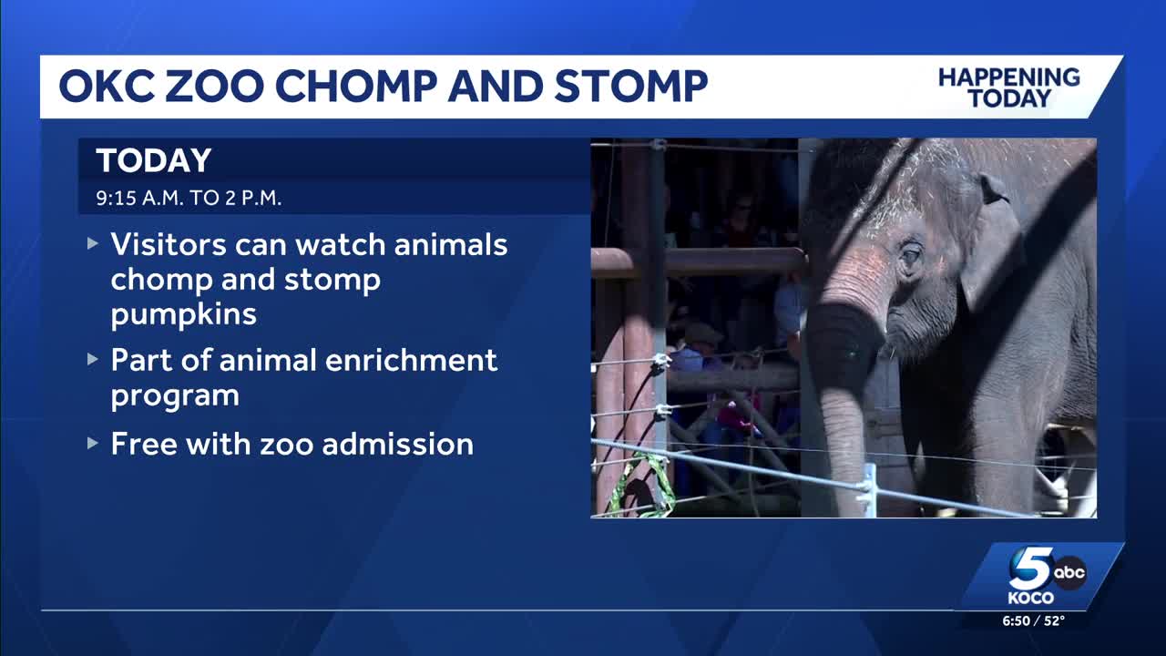 Oklahoma City Zoo's Chomp and Stomp event returns Friday