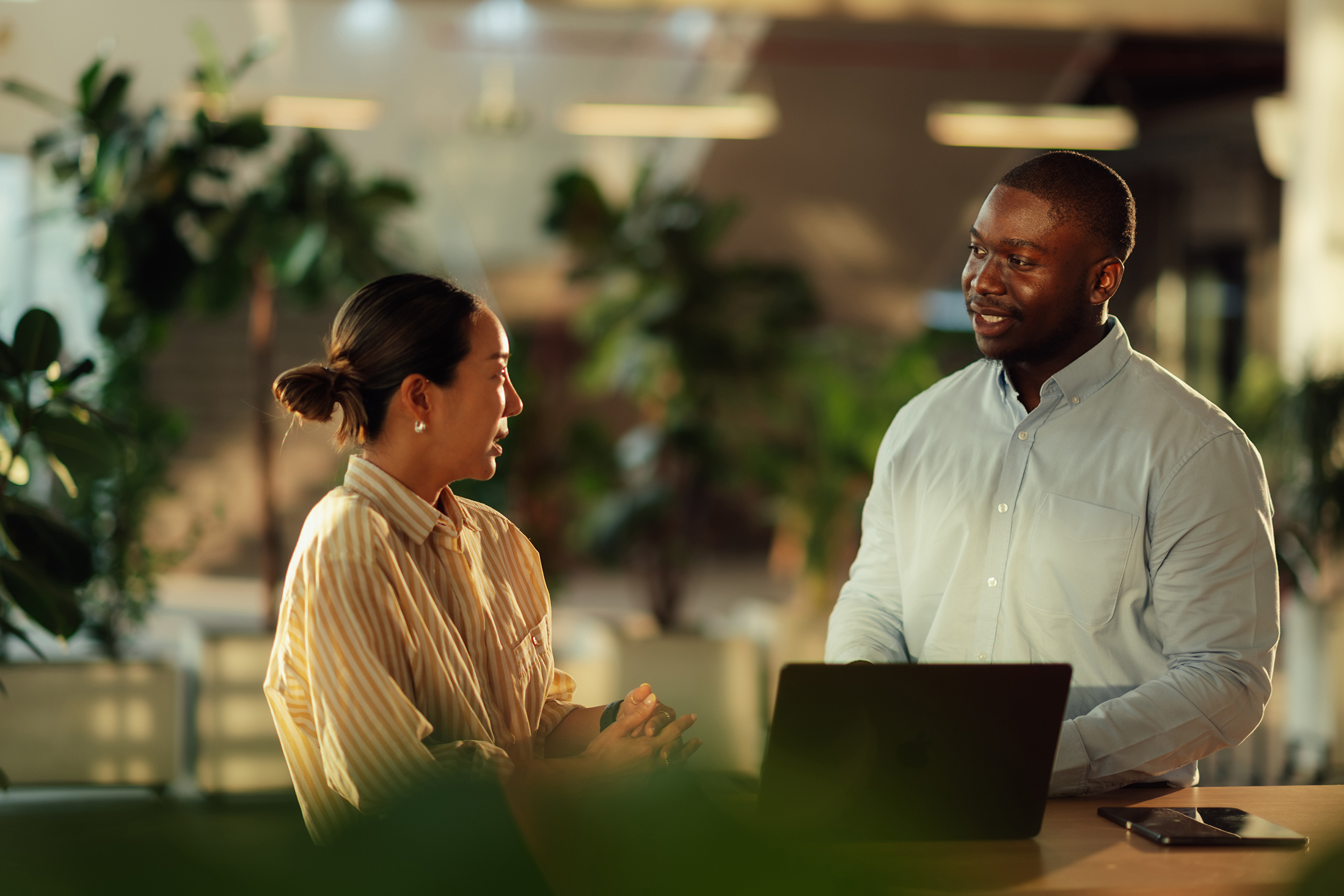 How human-centered professions can thrive in the age of AI