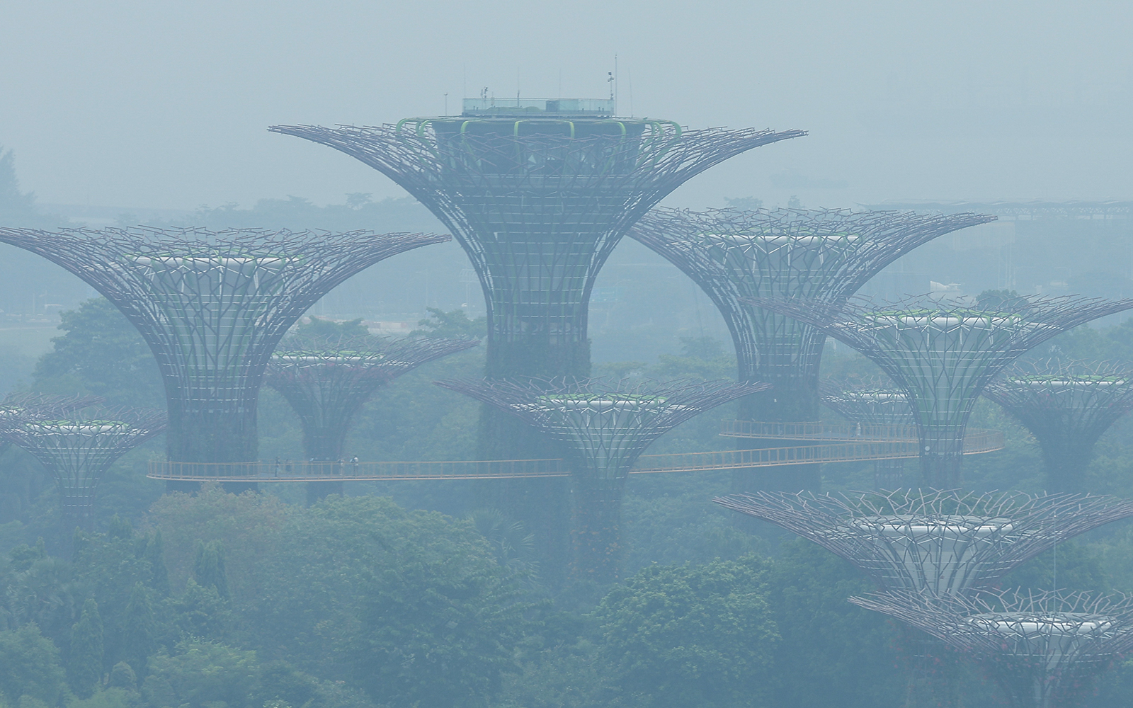 Singapore takes legal action against 7 Indonesian firms over haze