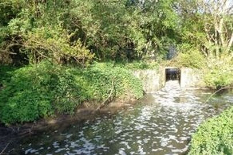 Anglian Water fined £1.6m after faulty valve let sewage pollute Essex river