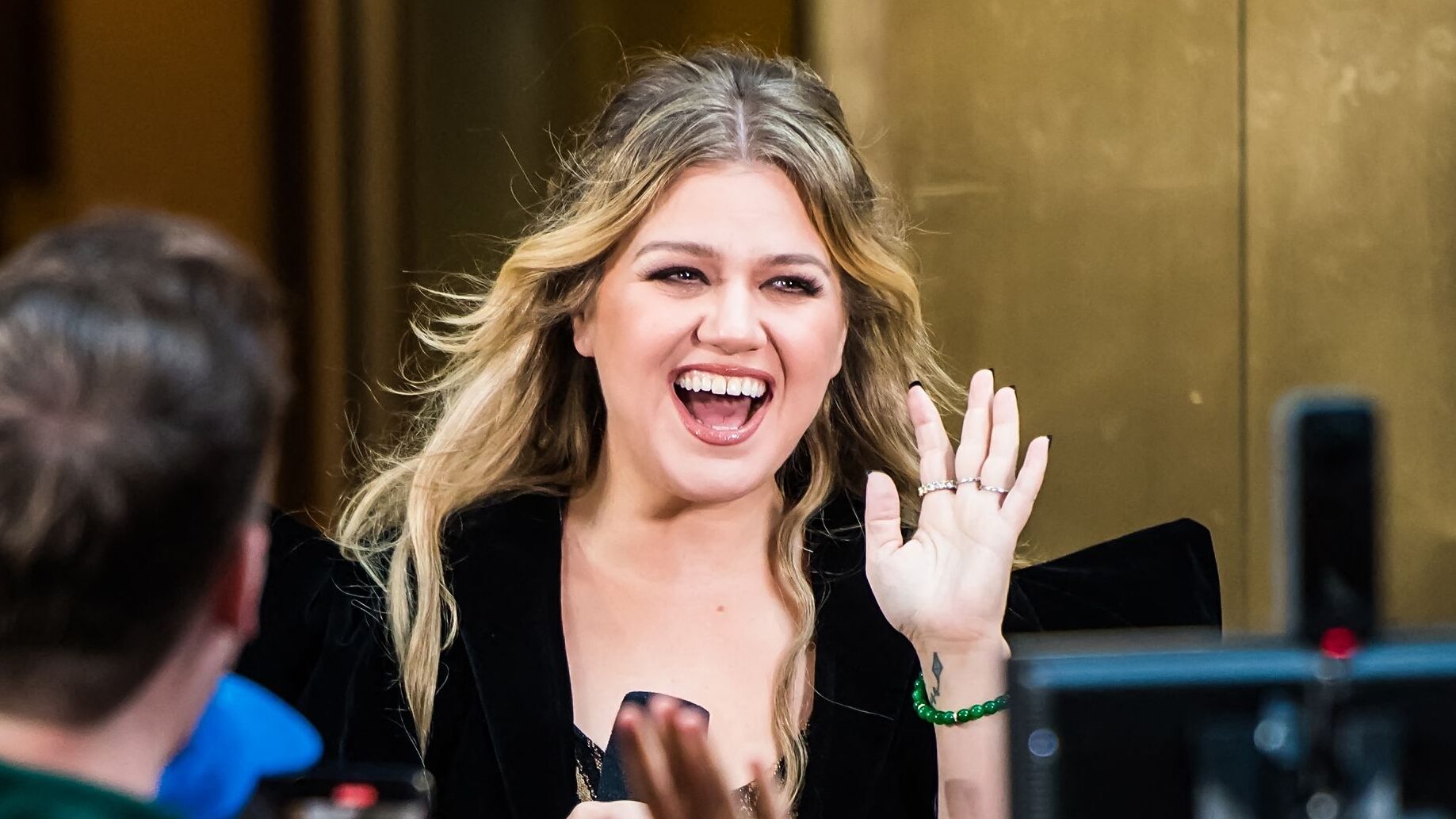 Kelly Clarkson’s home decor collection contained bird products before ...
