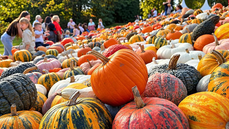 Bélgica: festival Pumpkimania transforma castelo de Groot-Bijgaarden