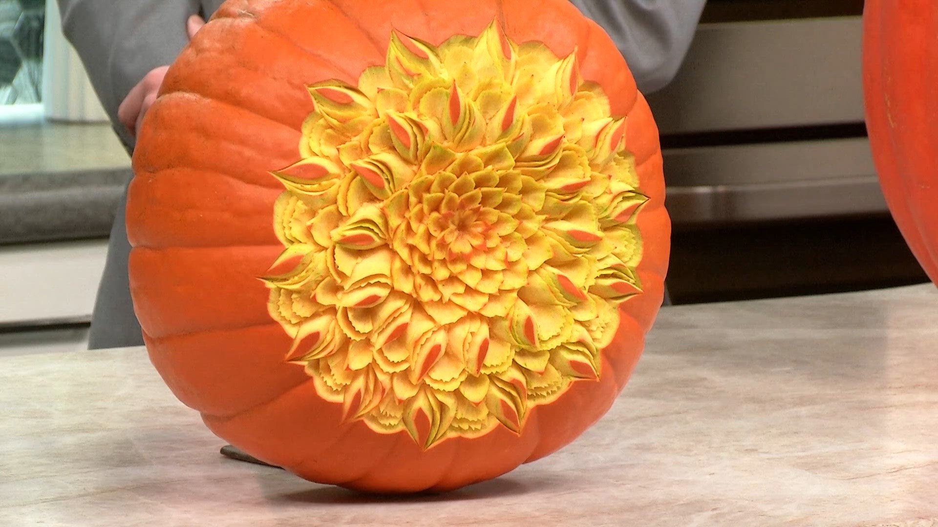 Glow at the Gardens: A luminous fall celebration at Denver Botanic Gardens