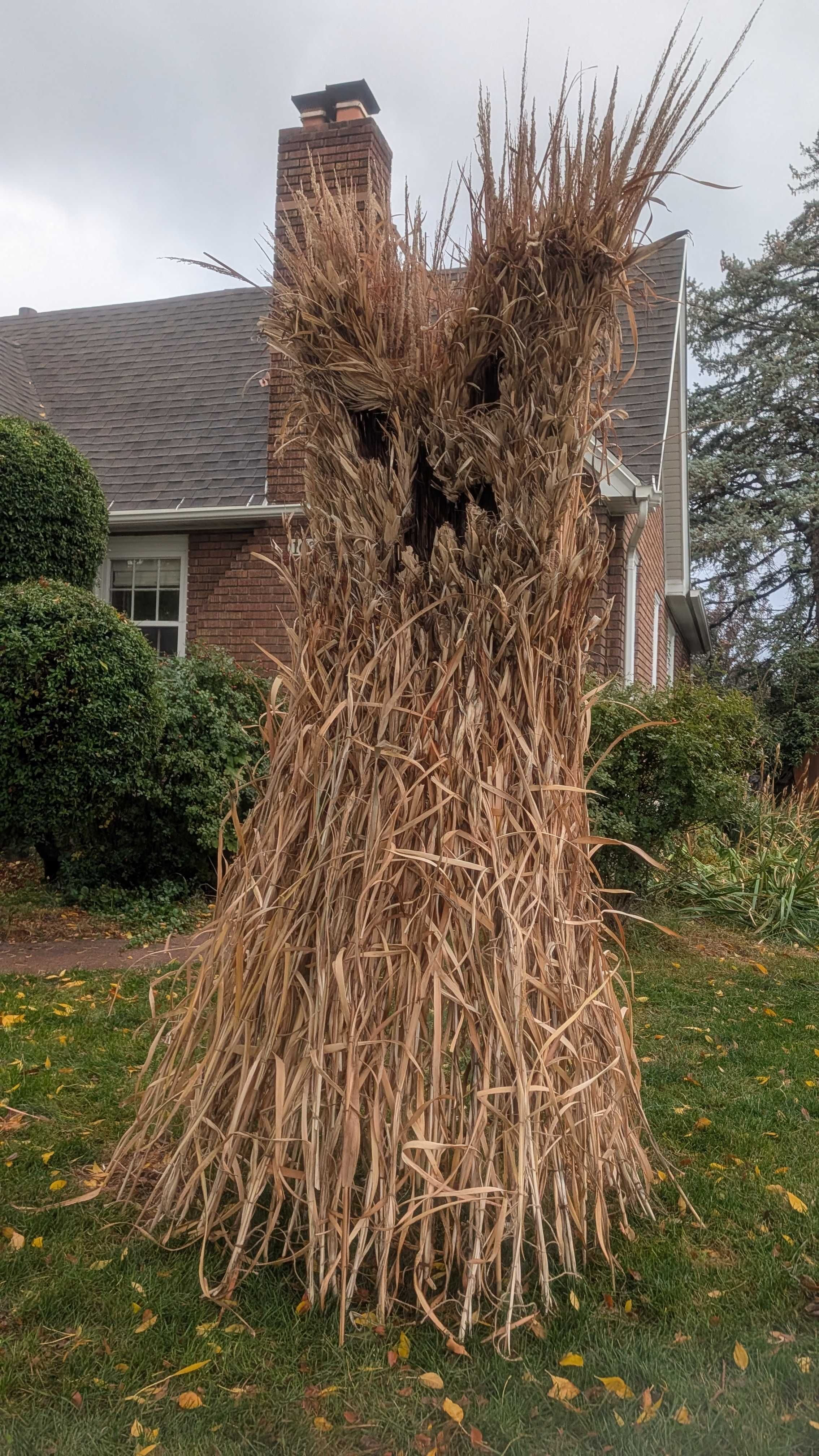 Phragmites art inspires — but it could worsen Utah's infestation
