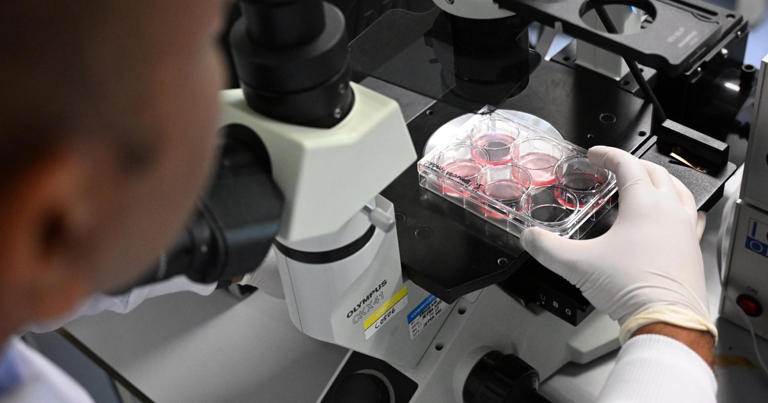 Singapore opens first centre dedicated to stem cell research of the ...