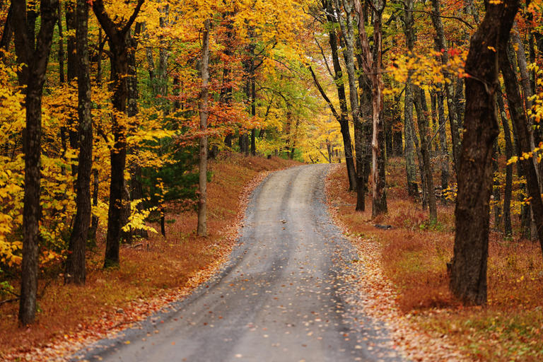 Fall’s brilliant colors paint the American landscape, in photos