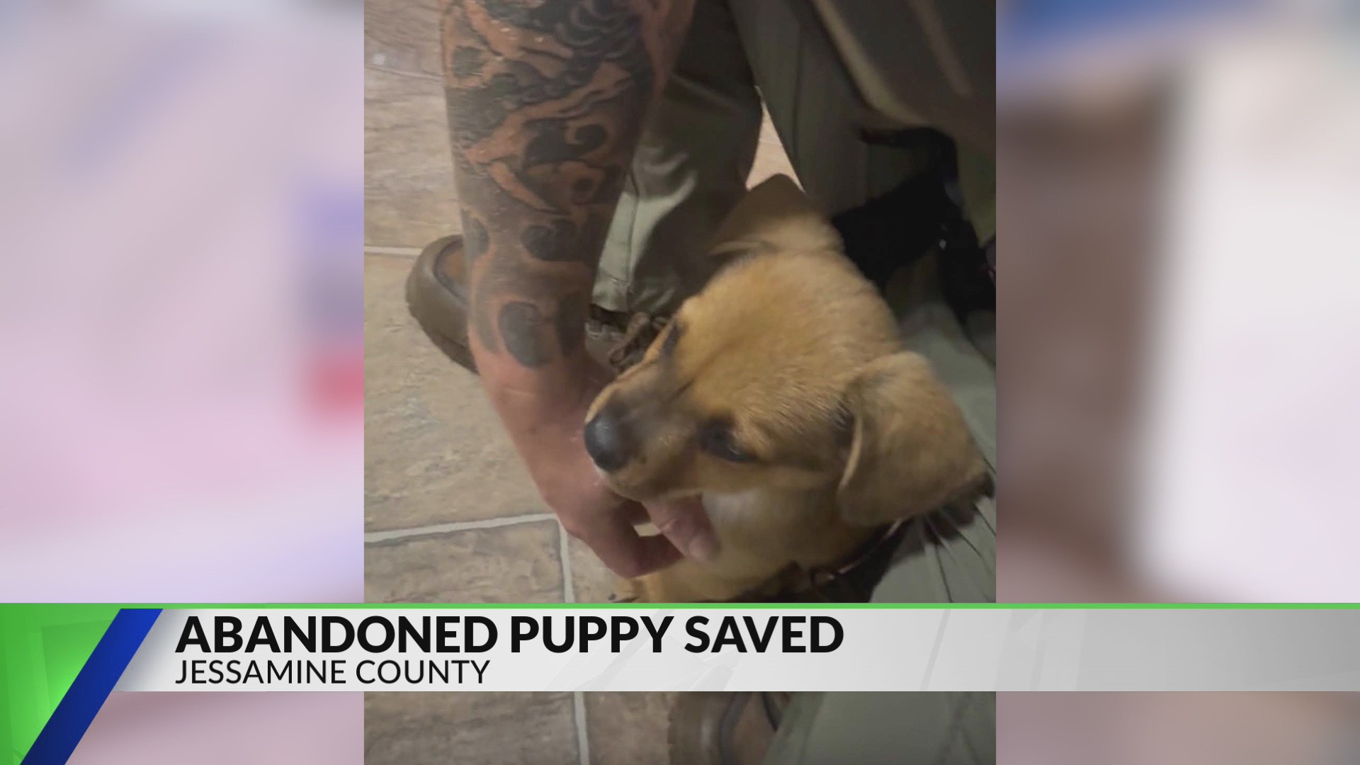 Rescued Jessamine County puppy gets ride-along with local deputies