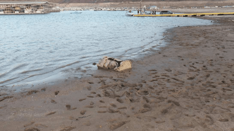 Arkansas man identified as Lake Mead barrel victim; police say he was ...