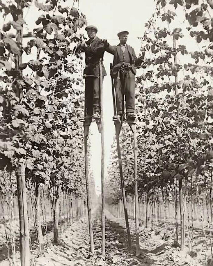 44 remarkable pieces of history that feel like opening a window into ...