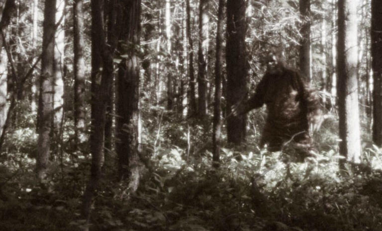 A man claims he found Bigfoot’s dead body in New York and has DNA to ...