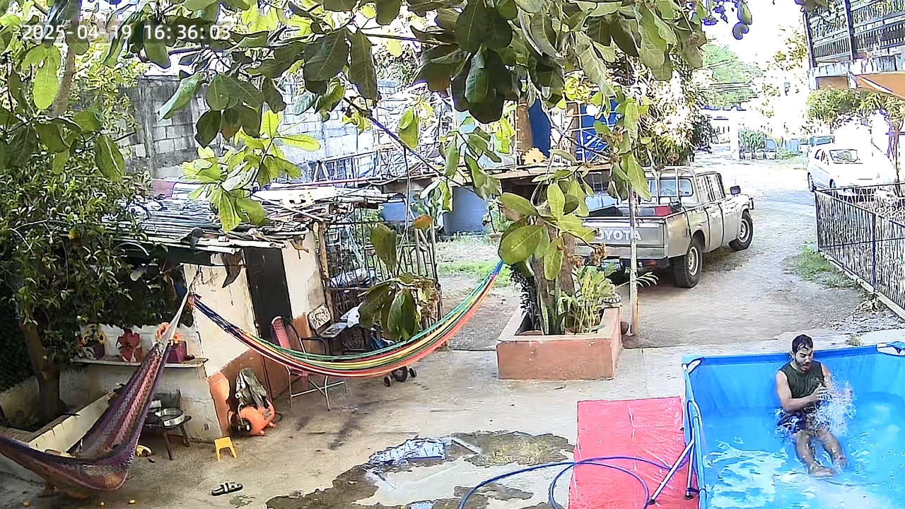 Mango surprises man after falling into pool in La Unión, El Salvador