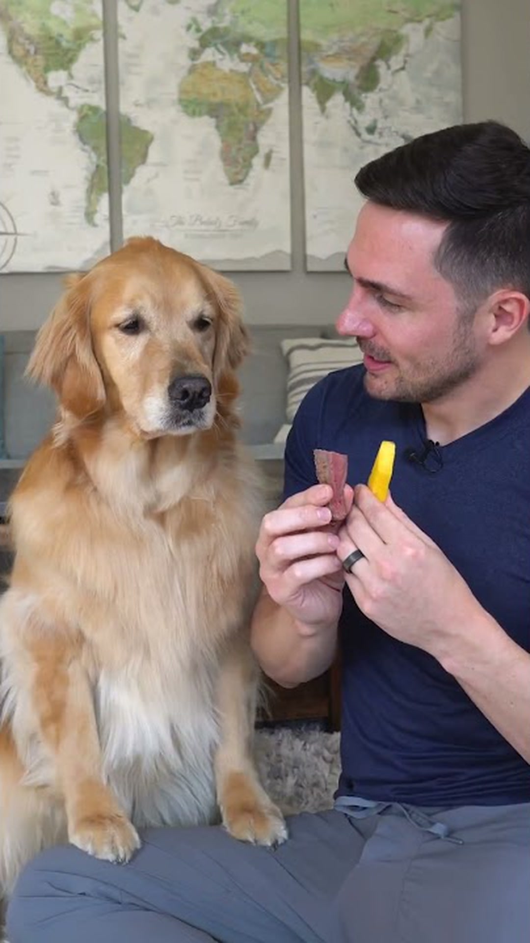 The taste tournament comes down to the final round as a golden ...