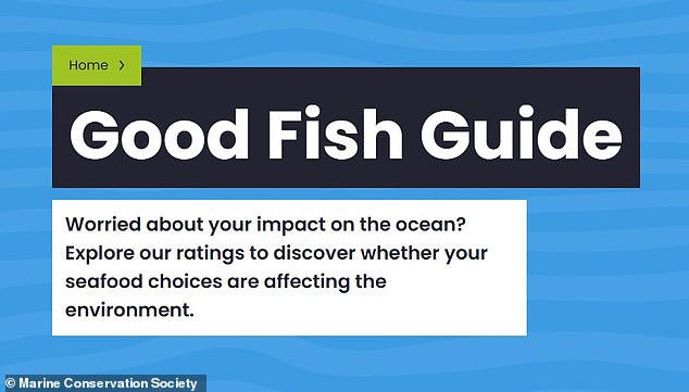 Seabass and chips? Scientists tell Brits to replace cod and haddock ...