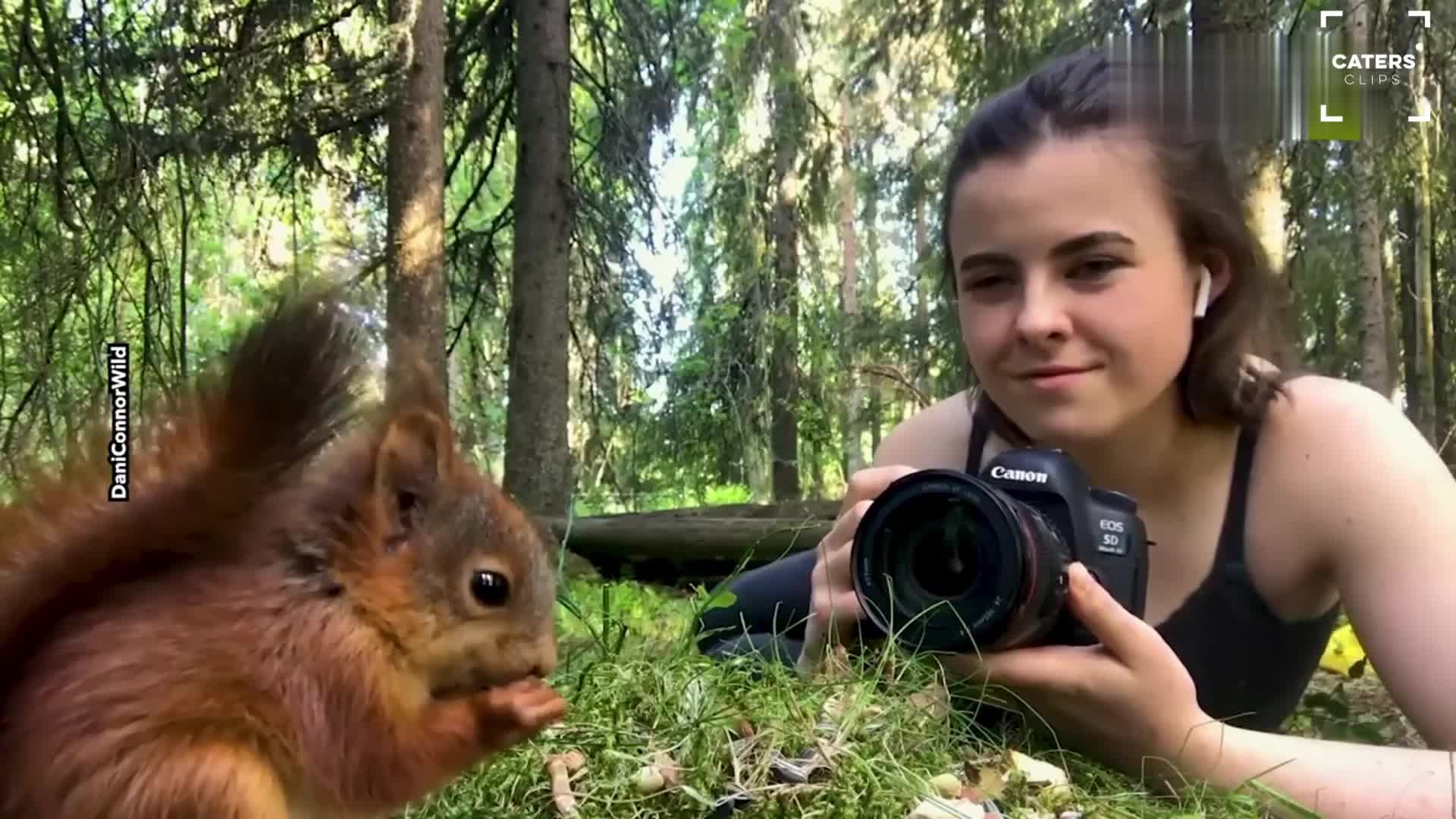 Photographer lies in grass as curious squirrel approaches her camera